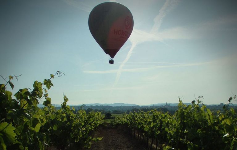 Paseo por las viñas en globo